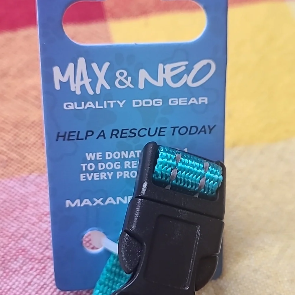 New Max & Neo size xsmall chain dog collar teal